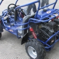 Дети бензиновые багги 200cc цена по прейскуранту завода-изготовителя 